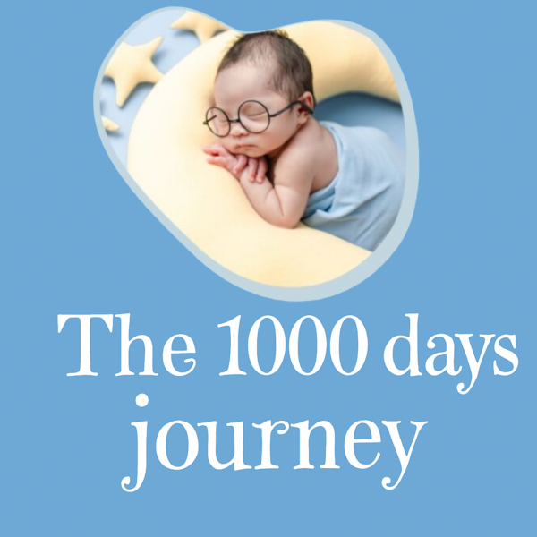 1,000-Day Access to the Full Journey - Image 2